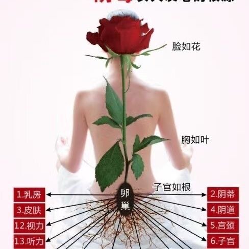 正品老顾客私护凝胶体验装凝胶私处清洁产后粉嫩可批发和代发