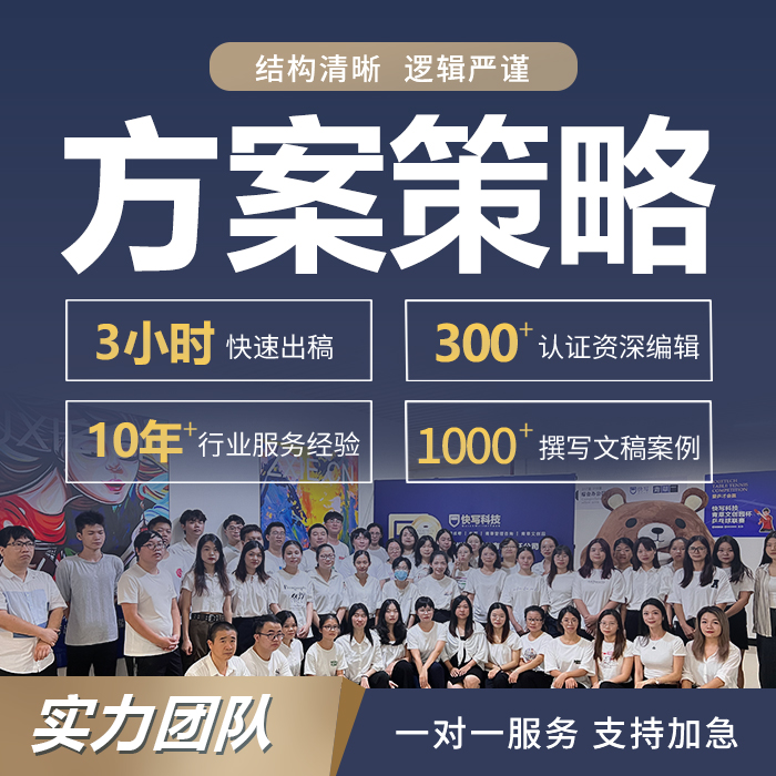 代写方案项目传播策略报告媒介广告策略会品牌宣传推广活动策划书