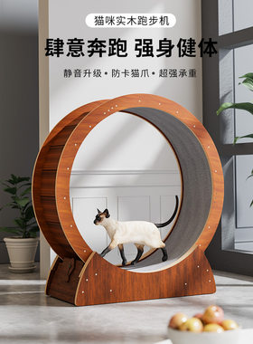 猫咪跑步机静音猫跑轮实木运动健身宠物滚轮猫猫玩具猫爬架