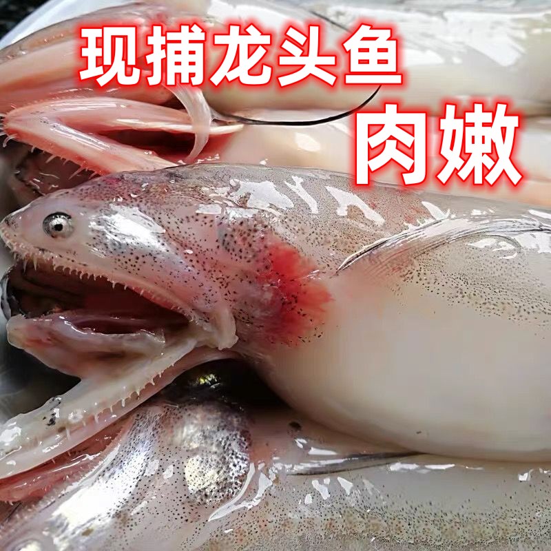 6斤龙头鱼豆腐鱼新鲜九肚鱼
