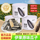 伊果原味大颗粒瓜子180g罐装 新货坚果炒货熟葵花籽瓜子休闲零食品