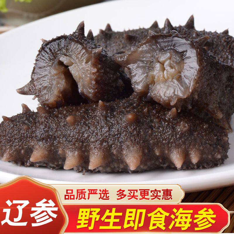 即食海参野生辽刺参新鲜大连海参开袋即食辽参海参礼盒佛跳墙食材