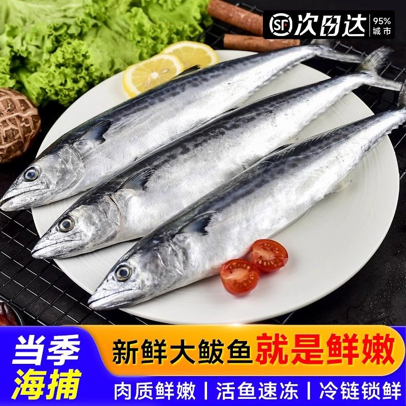 【顺丰】鲅鱼新鲜活鲐鲅鱼马鲛鱼整条冷冻马友鱼海鲜马交鱼批发,水产肉类/新鲜蔬果/熟食,马鲛鱼,淘宝优惠券,粉丝福利购,淘宝优惠卷