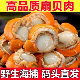 顺丰新鲜扇贝肉现剥速冻扇贝肉个大带黄捞汁无沙不缩水