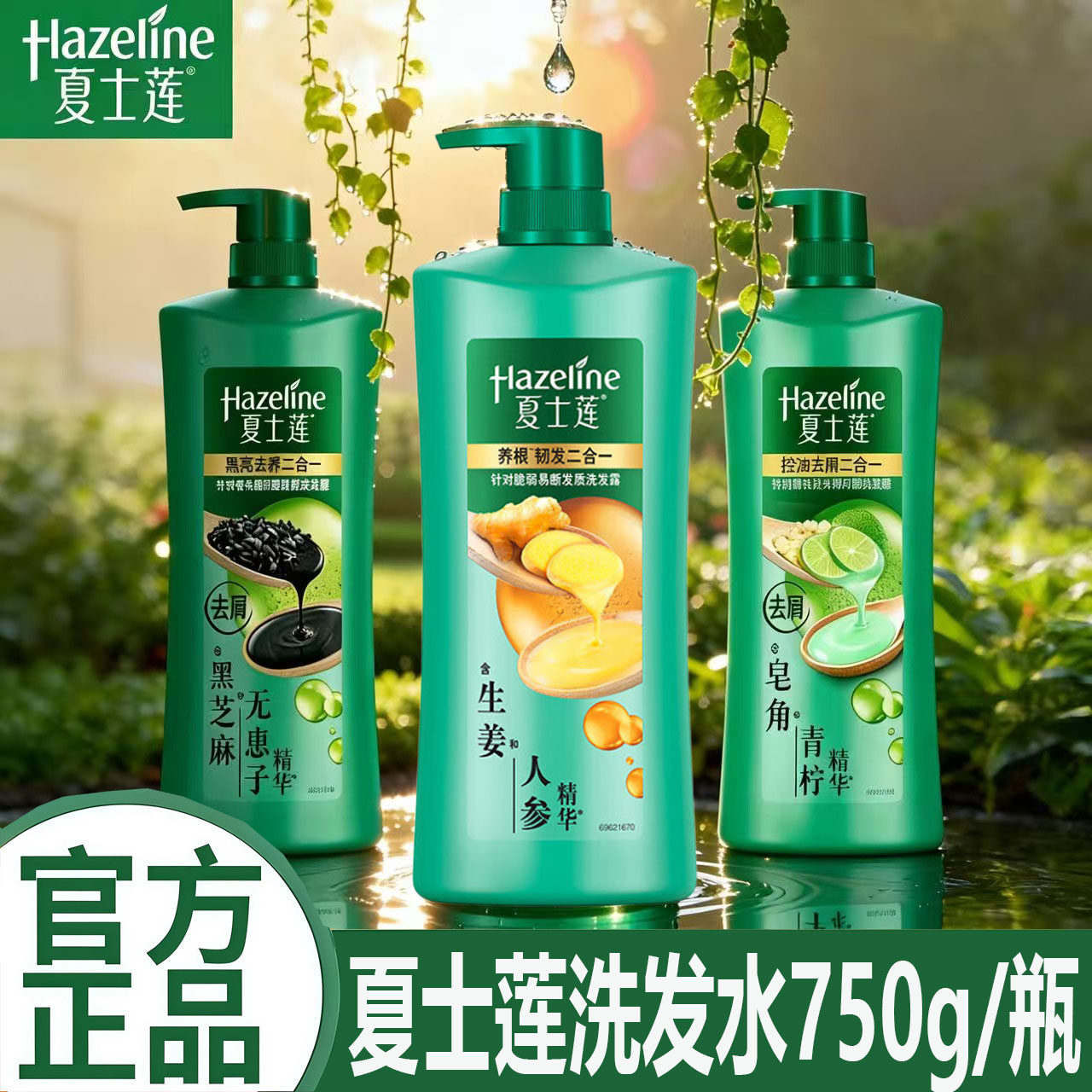 夏士莲洗发水大瓶装大容量三种款式控油养根去屑家用正品实惠装