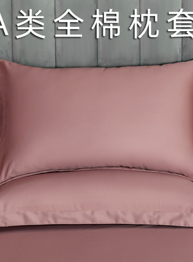 纯棉枕套大号50x80一对装酒店48x74家用单个儿童35x55枕头套40x60