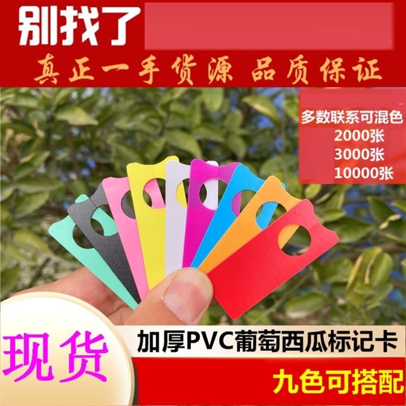 速发名称防水标签西瓜标牌分色葡萄标记牌植物挂牌果树记号牌卡牌