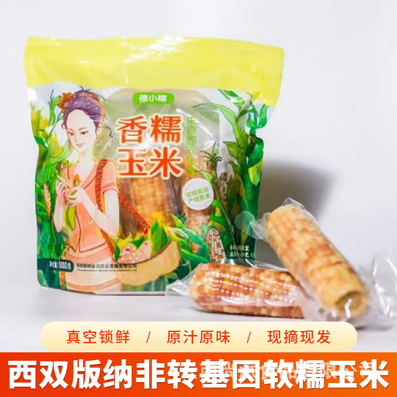 西双版纳香糯新鲜玉米云南香甜软糯小玉米真空即食玉米棒