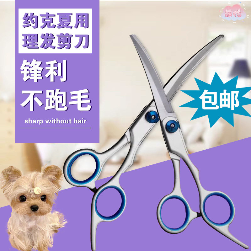 约克夏专用剪刀套装狗狗美容专业修剪毛弯剪子工具小型犬理发神器怎么样,好用不?