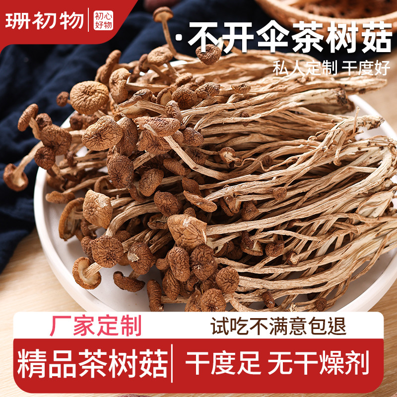 精品不开伞茶树菇干货足称发货