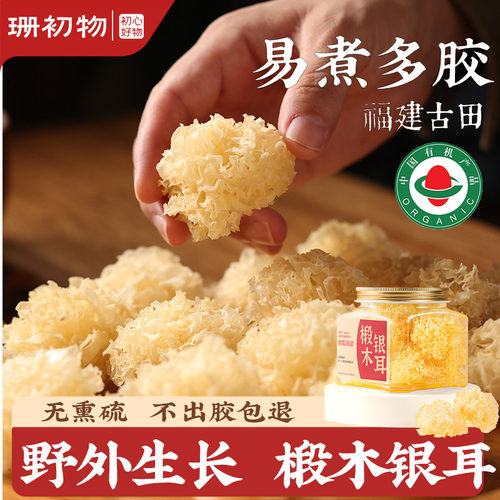 珊初物有机椴木小银耳干货出胶