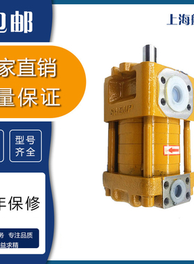 上海航发NB4-G40F G50F G63F NB5-G80F G100F G125F内啮合齿轮泵