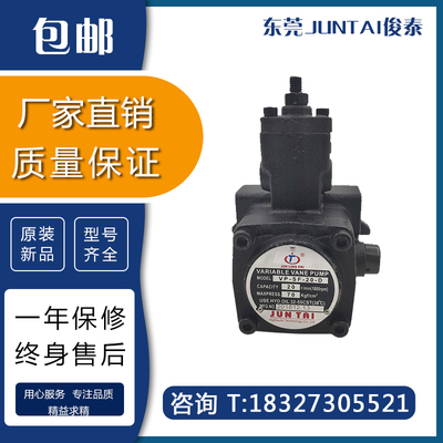 东莞JUNTAI俊泰70kg液压油泵JUNLINGPAI变量叶片泵VP-SF-30/40-D