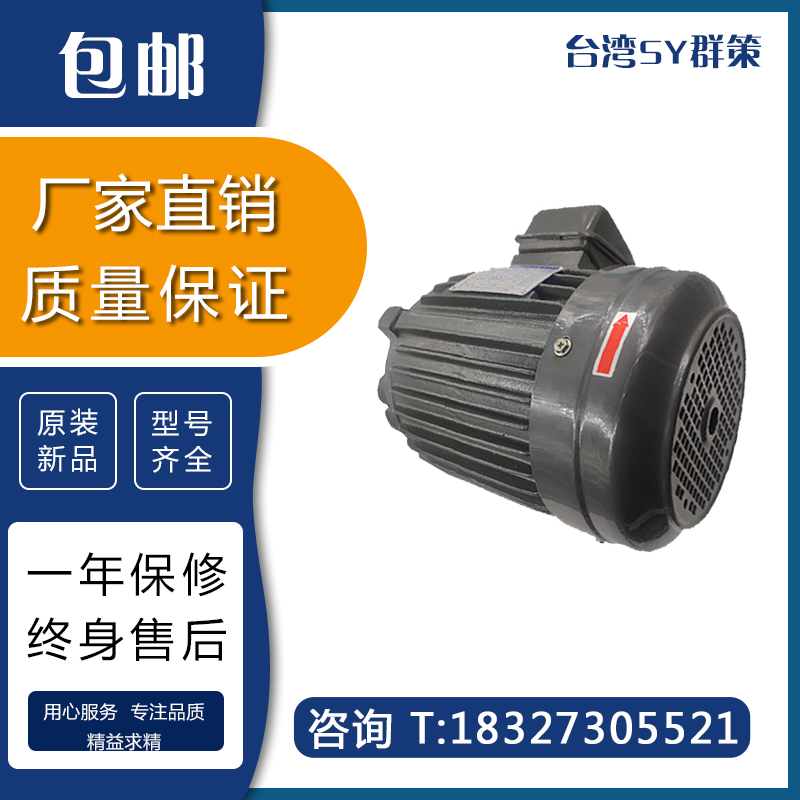 台湾群策液压内轴油泵专用电机C01 C02 C03 C05 C7B C10-43B0 HGP