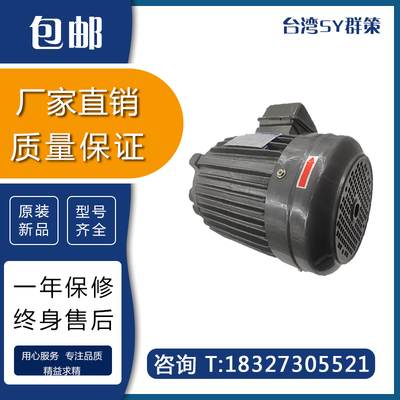 台湾群策液压内轴油泵专用电机C01 C02 C03 C05 C7B C10-43B0 HGP