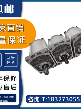 质保1年剪板机拖拉机升降台液压齿轮油泵CBN-F304/F306/F310/F316