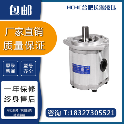 hchc长源液压齿轮油泵 CBTD-F4 合肥长源液压泵 凿岩钻机齿轮泵