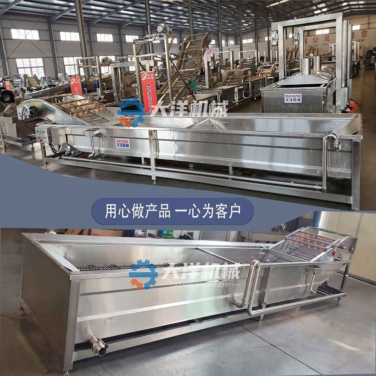 大洋牌气泡式叶菜清洗去污机 经济实惠的翻浪式洗菜机