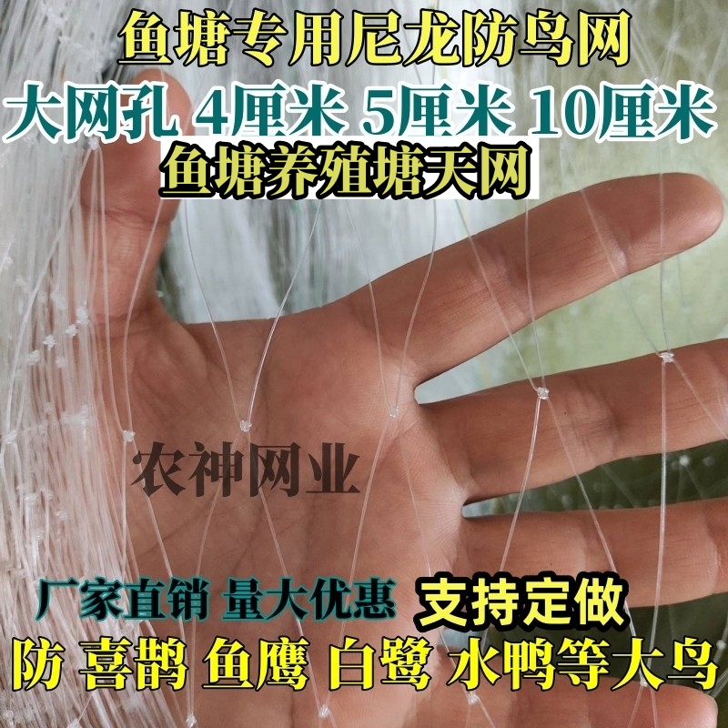 尼龙防鸟网鱼塘专用大网孔天网