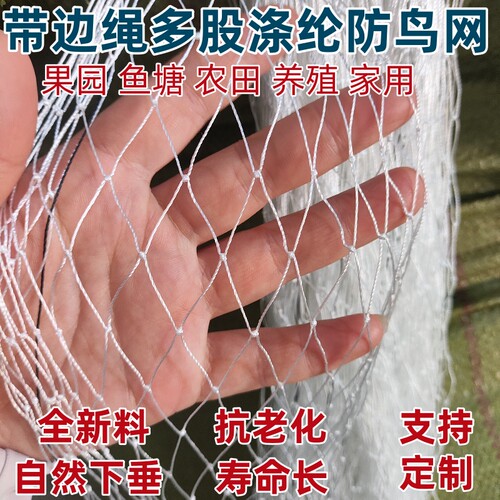 多股涤纶防鸟网抗老化寿命长定制