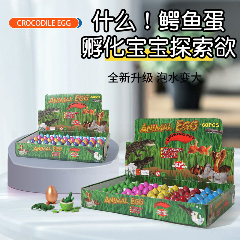 严选泡水鳄鱼蛋孵化蛋新奇膨胀