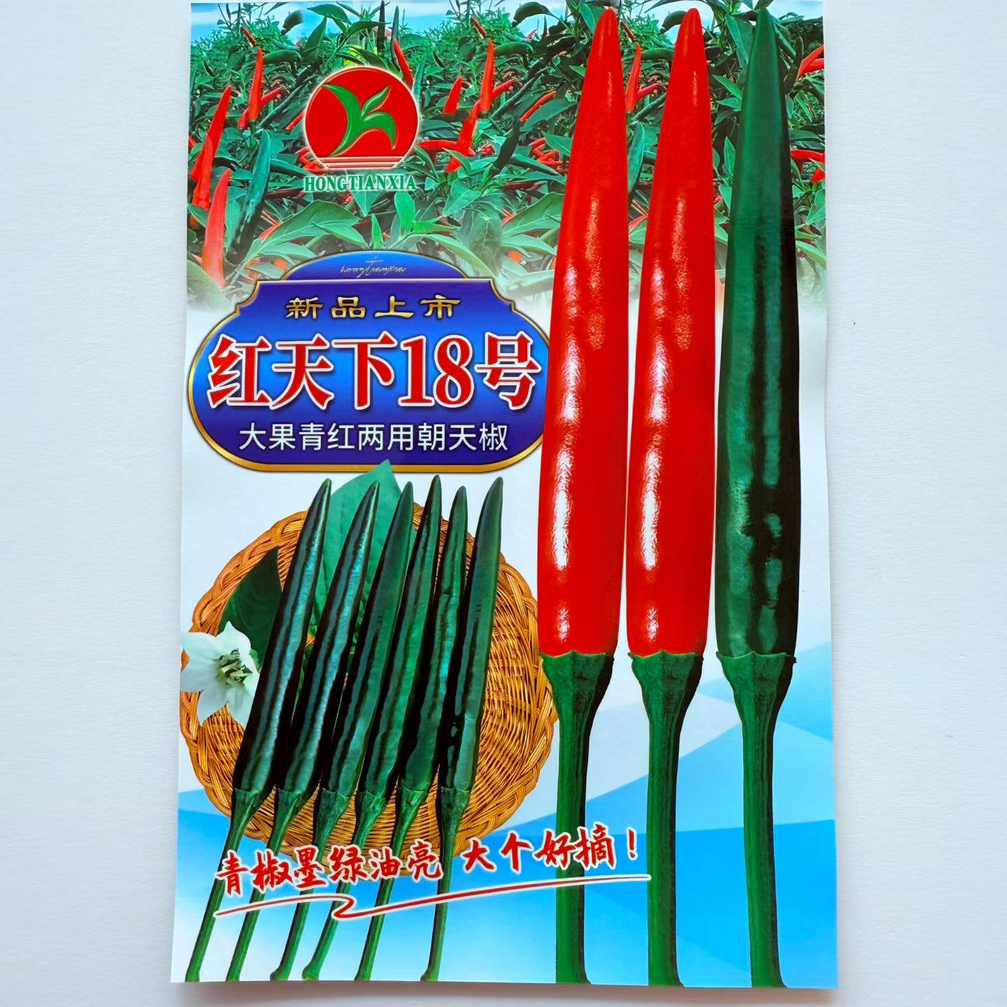 红天下18号辣椒种子中熟杂交单生朝天椒种籽辣味香浓春秋播种