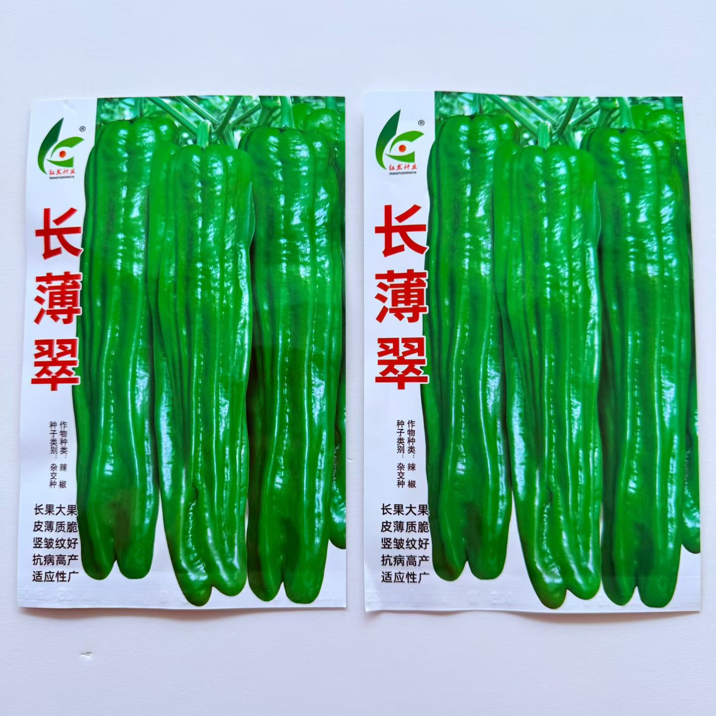 长薄翠辣椒种子早熟薄皮椒种籽抗病高产商品性佳春秋播