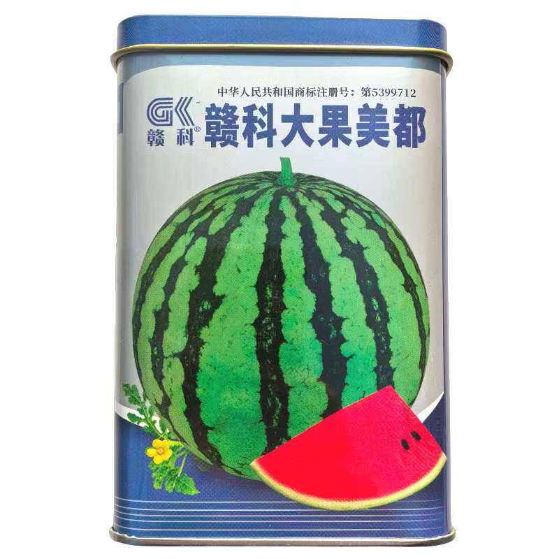 赣科大果美都西瓜种子早熟花皮西瓜种子高糖长椭圆形西瓜种子