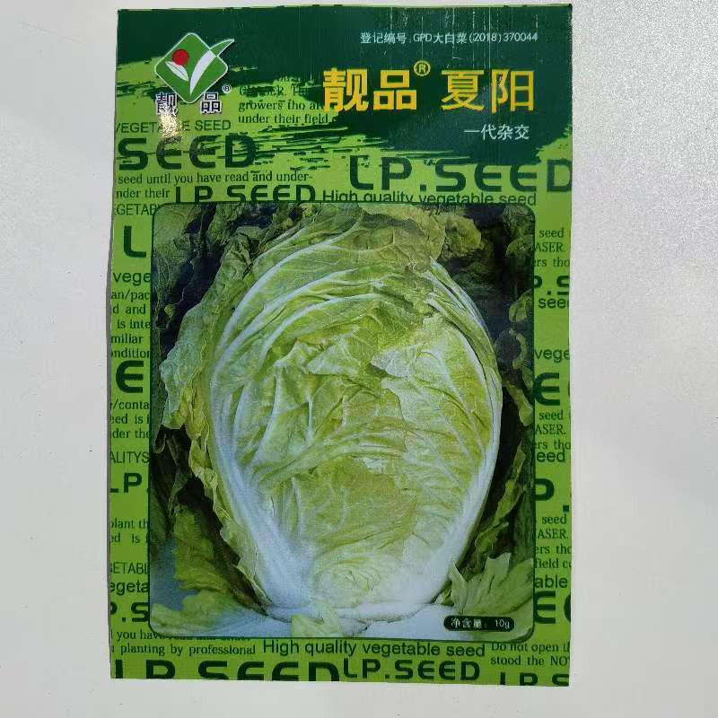 靓品夏阳大白菜种子早熟高产抗病耐热耐寒春秋播农家蔬菜种子