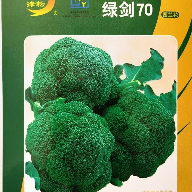 西兰花菜种孑西蓝花种子有机松花菜种籽花椰菜绿色花菜种四季蔬菜