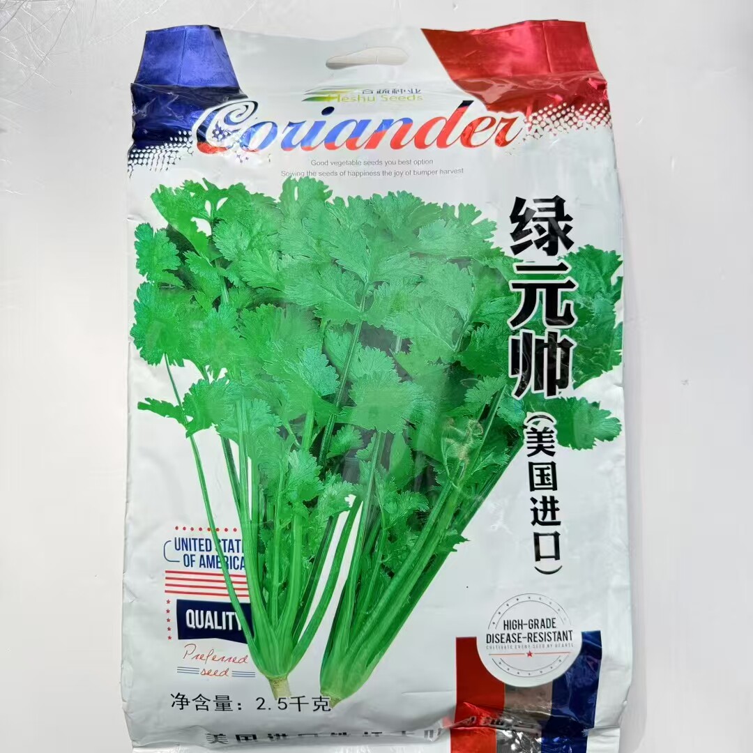 绿元帅四季香菜种子耐寒耐热种子室内阳台庭院可种蔬菜种子