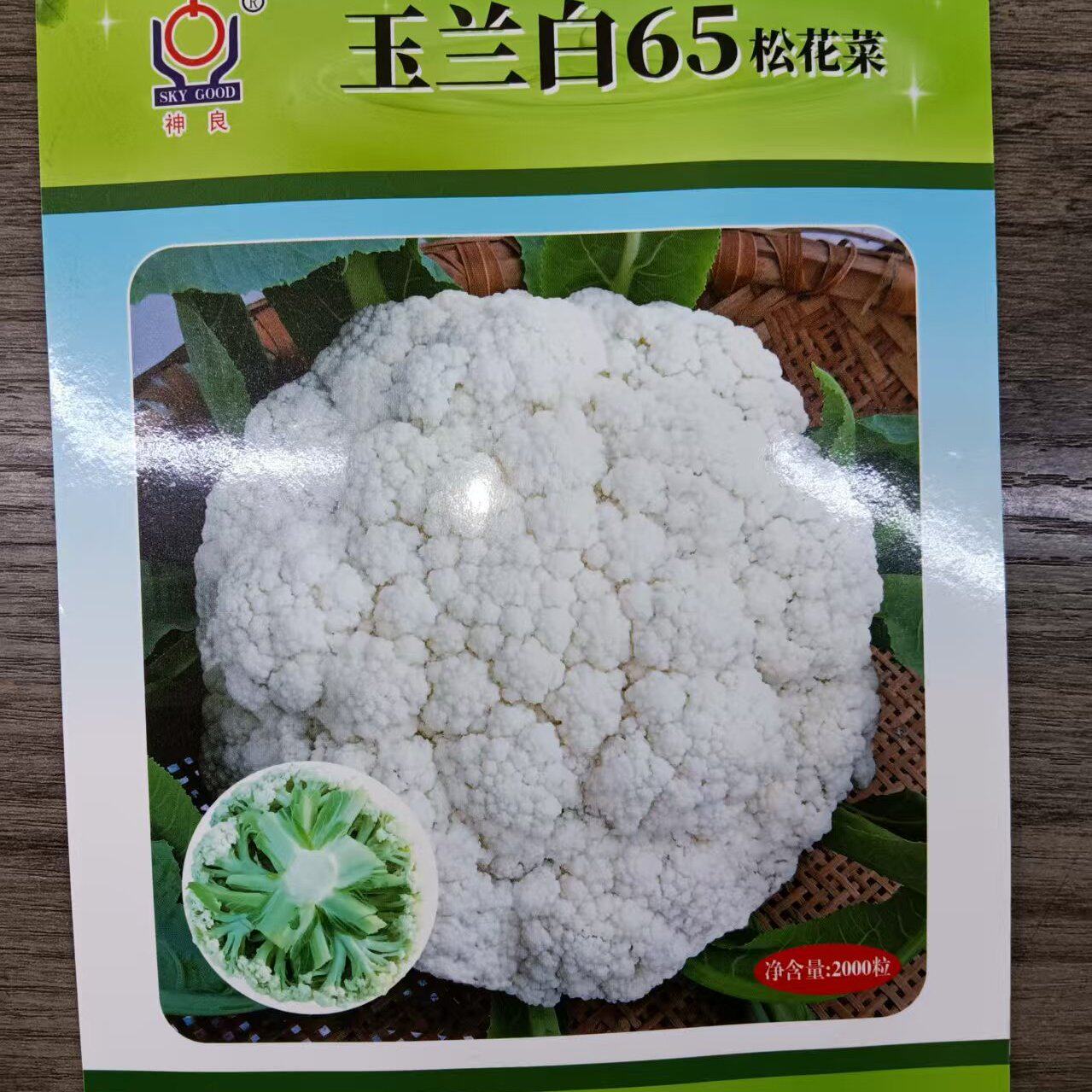 松花菜种子高产青梗小米粒花球洁白松花菜花种子籽孑