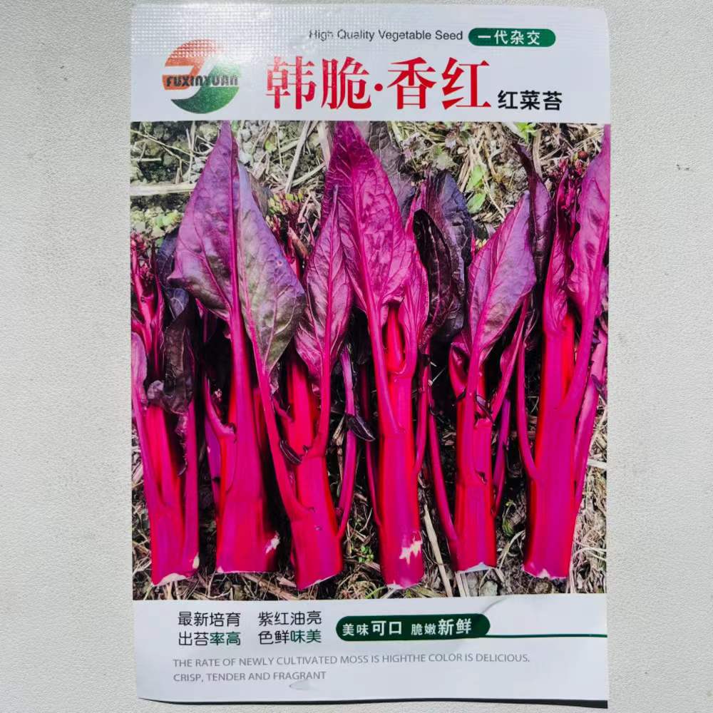 红菜苔种子韩脆香红红菜苔种子一代杂交紫红油亮新鲜蔬菜种苗