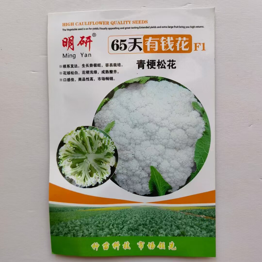 松花菜种子长霉素高产青梗小米粒花球松花菜花种子籽孑