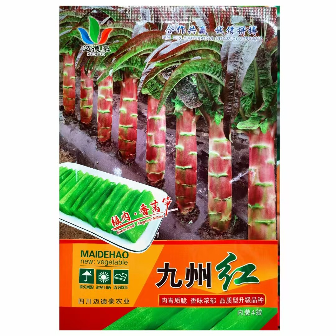 红尖叶莴笋种子抗病高产耐寒高桩红尖叶莴苣种子南北方春秋两季播