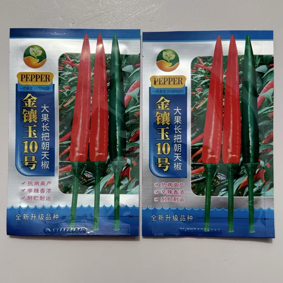 金镶玉10号朝天椒种籽一代杂交单生朝天椒种子抗病高产辣椒种