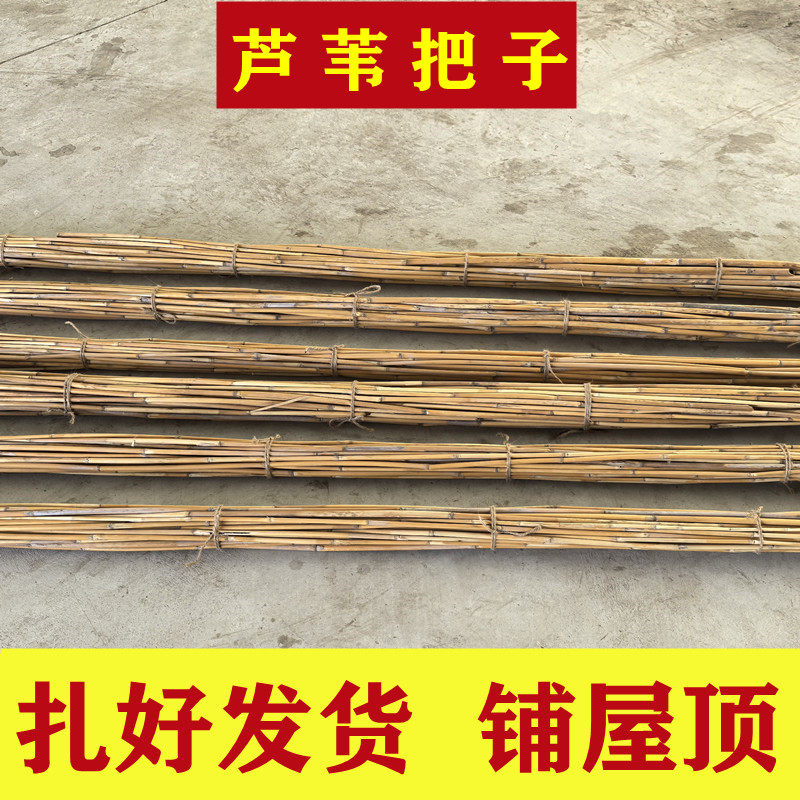 定制芦苇枝老式室内民宿枯枝屋顶吊顶装饰手工编制干枝芦苇装饰