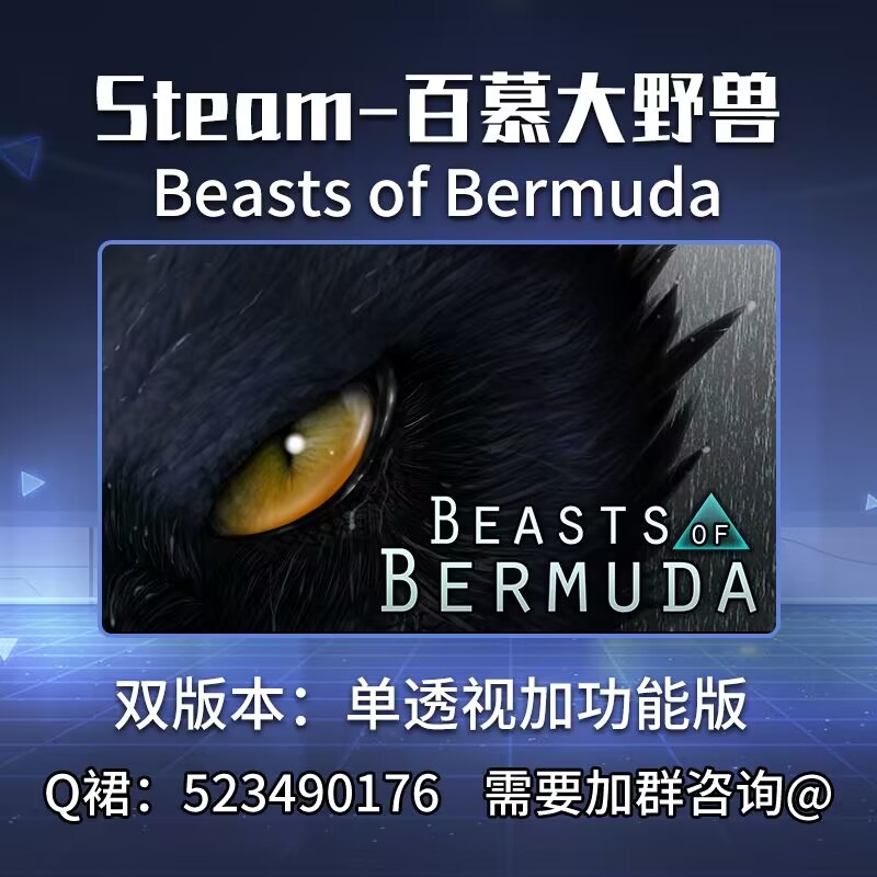 Steam-百慕大野兽 Beasts of Bermuda  双版本：单透加多功能