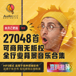 全球无版 权可商用音乐企业宣传片有声书影视配乐背景音乐bgm素材
