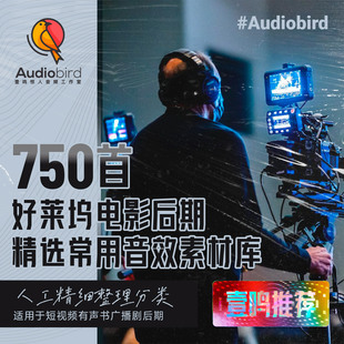 好莱坞电影音效库恐怖惊悚警匪有声书广播剧音效爆炸枪声音效素材