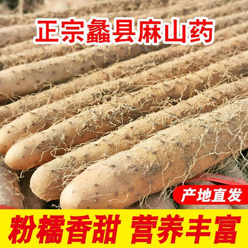 山药蠡县铁棍山药新鲜粉糯正宗铁棍山药营养食补生鲜蔬菜