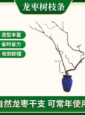 龙枣树干枝树枝装饰弯曲插花饭店酒店装饰客厅干风干创意家用摆件