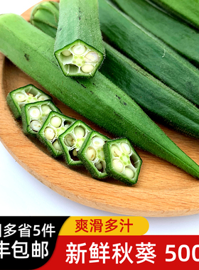 秋葵500g 新鲜蔬菜沙拉食材水果黄秋葵六角羊角豆 5件包邮