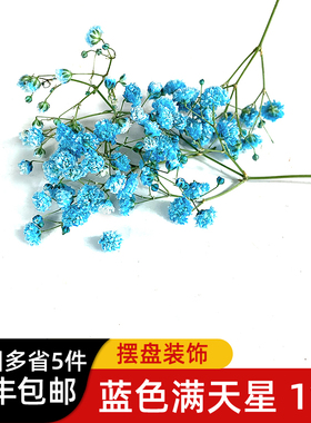 新鲜蓝色满天星1盒 餐饮装饰花草西餐日料冷菜摆盘 多省5件包邮