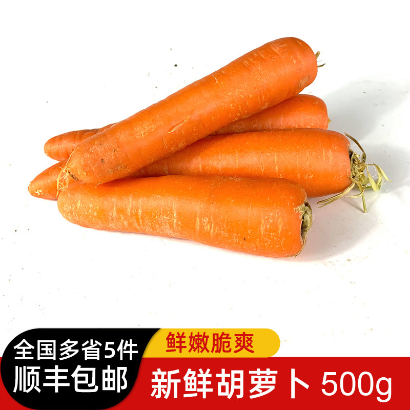 新鲜大胡萝卜500g 时令蔬菜红萝卜生吃甜脆炒菜配料食材 5件包邮