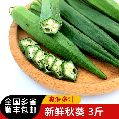 新鲜秋葵3斤 水果秋葵黄秋葵六角羊角豆沙拉食材蔬菜全国多省包邮