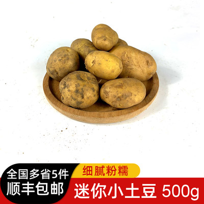 小土豆500g新鲜蔬菜农家山芋