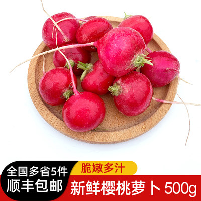 樱桃萝卜500g迷你小满新鲜蔬菜