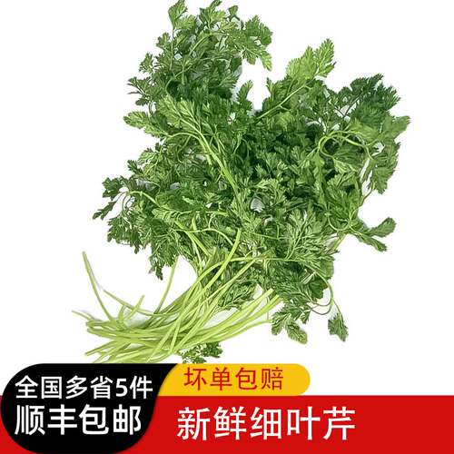 新鲜欧芹SYL酒店西餐摆盘