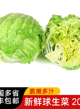 球生菜20斤 新鲜蔬菜沙拉食材西餐汉堡用圆生菜球型西生菜包邮
